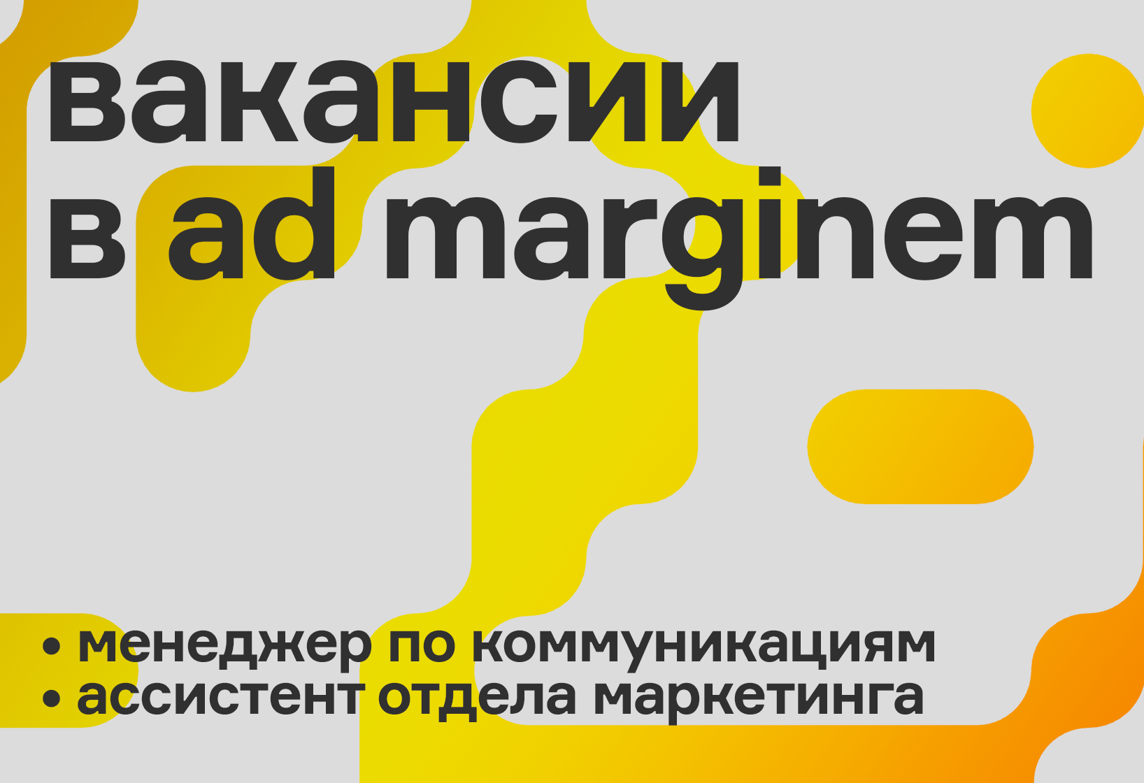 Работа в команде Ad Marginem - Ad Marginem