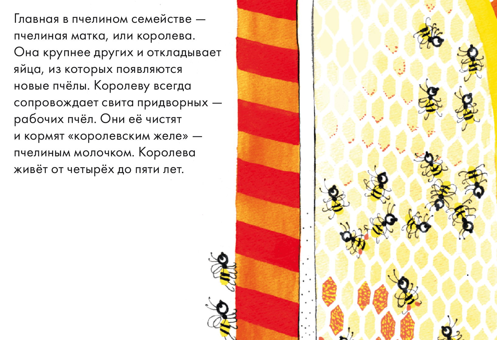 Издательство А+А. Интернет-магазин и журнал